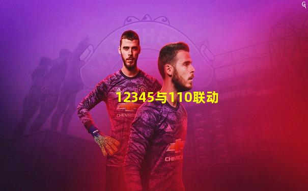 12345与110联动