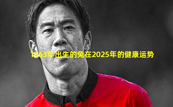 1963年出生的兔在2025年的健康运势