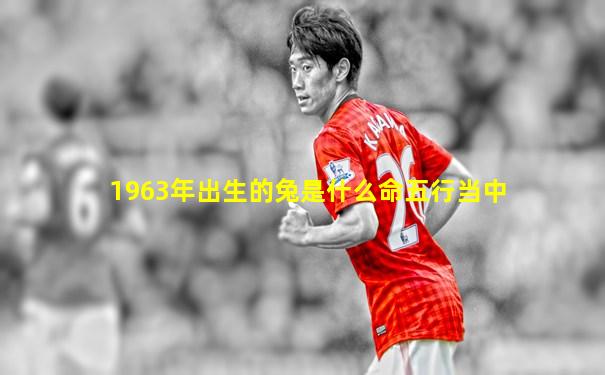 1963年出生的兔是什么命五行当中