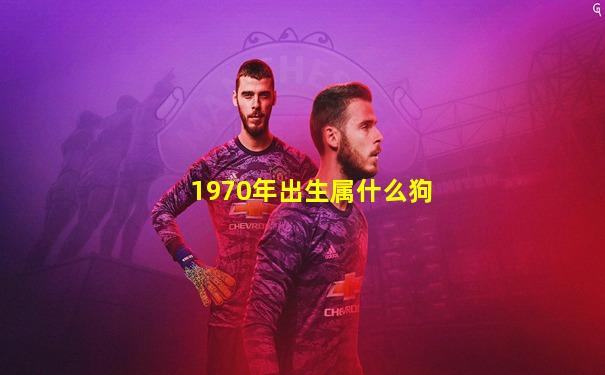 1970年出生属什么狗