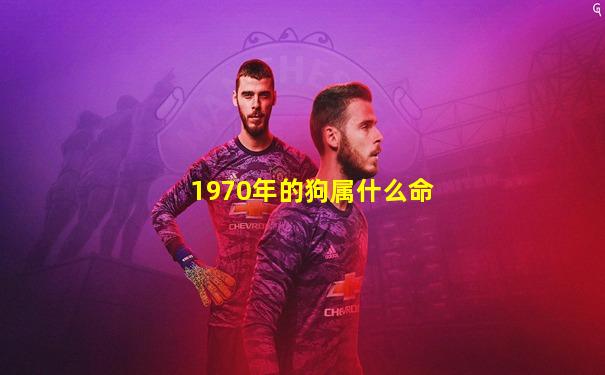1970年的狗属什么命