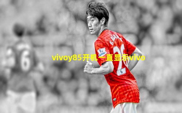 vivoy85开机一直显示vivo