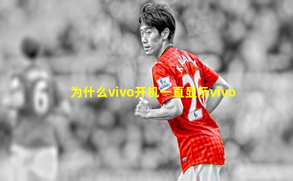 为什么vivo开机一直显示vivo