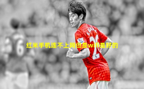 红米手机连不上网但是wifi是好的